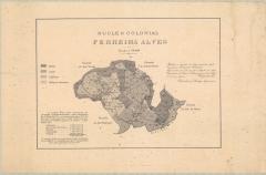 MAPA DO NUCLEO COLONIAL FERREIRA ALV..